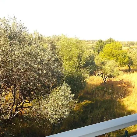 Terravita Residencial Lek Peñíscola Buitenkant foto