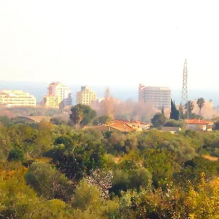 Terravita Residencial Lek Peñíscola Buitenkant foto